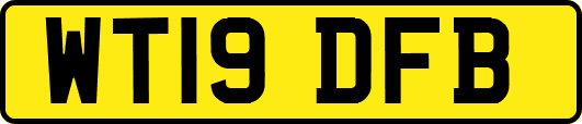 WT19DFB