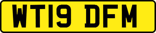 WT19DFM