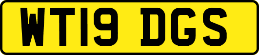 WT19DGS