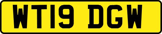 WT19DGW