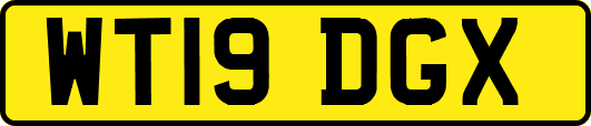 WT19DGX