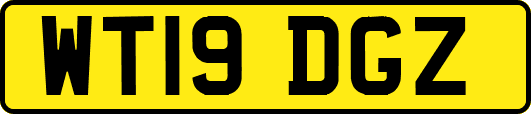 WT19DGZ