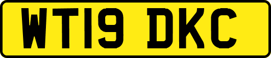 WT19DKC