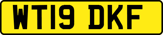 WT19DKF