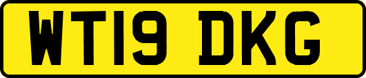 WT19DKG