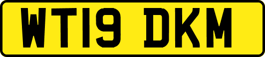 WT19DKM