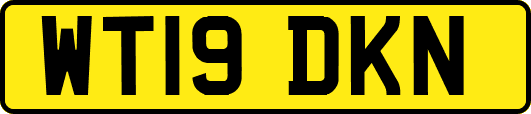 WT19DKN