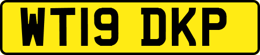 WT19DKP