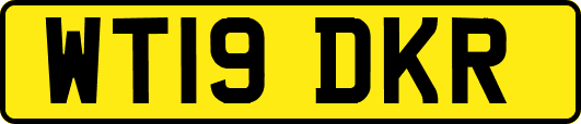 WT19DKR