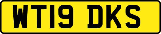 WT19DKS