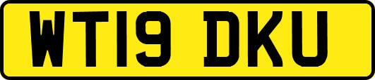 WT19DKU