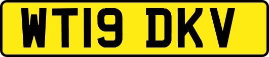 WT19DKV