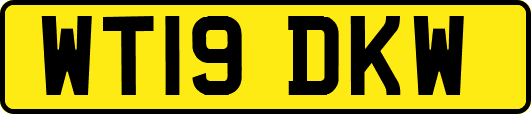 WT19DKW