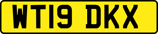 WT19DKX
