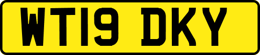 WT19DKY