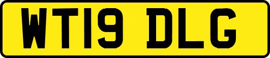 WT19DLG