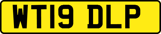 WT19DLP
