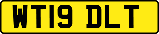 WT19DLT