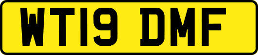 WT19DMF