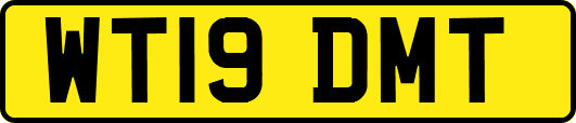 WT19DMT