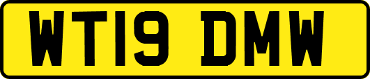 WT19DMW