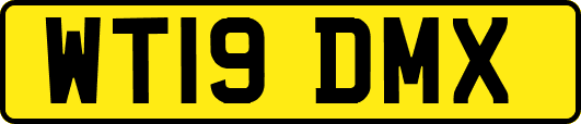 WT19DMX