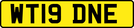 WT19DNE