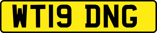 WT19DNG