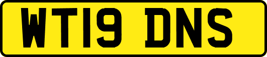 WT19DNS