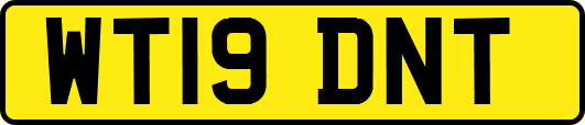 WT19DNT