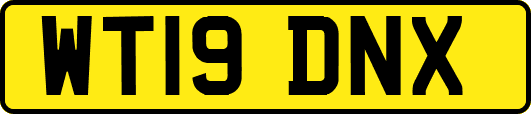 WT19DNX