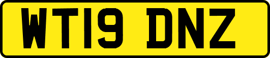 WT19DNZ