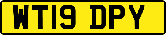 WT19DPY