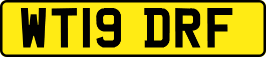 WT19DRF