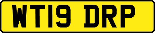 WT19DRP