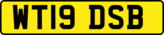 WT19DSB