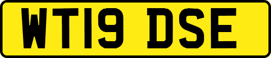 WT19DSE