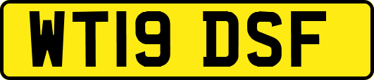 WT19DSF