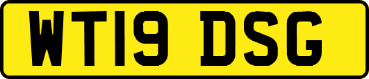 WT19DSG
