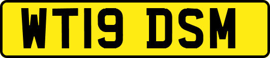 WT19DSM