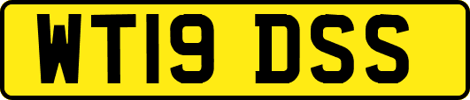 WT19DSS