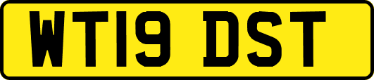 WT19DST