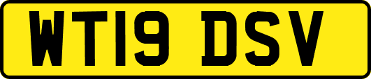 WT19DSV