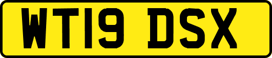WT19DSX