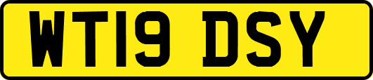 WT19DSY