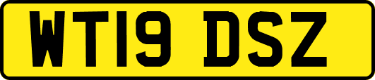 WT19DSZ