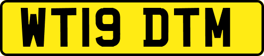 WT19DTM
