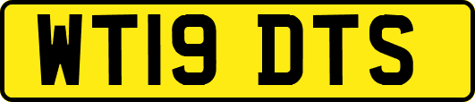 WT19DTS
