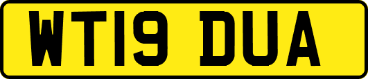 WT19DUA