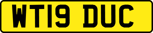 WT19DUC